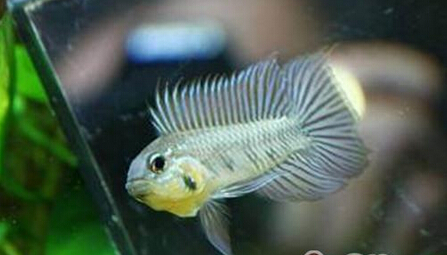 QQ截图20160802174216