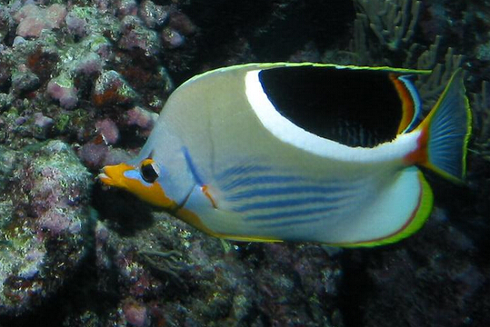 QQ截图20160802165638