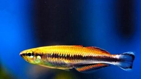 QQ截图20160802180240