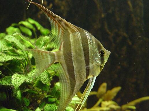 QQ截图20160802174625