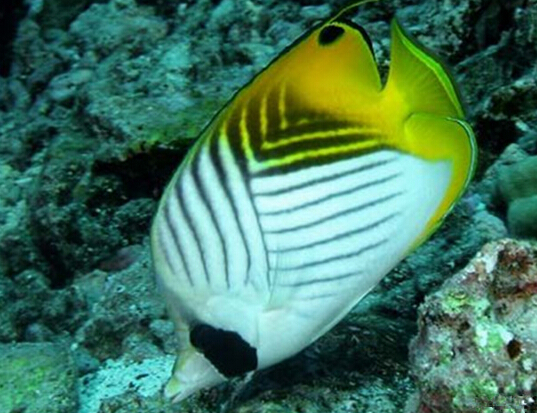 QQ截图20160802162607