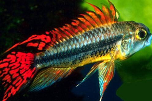 QQ截图20160802174229