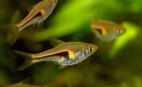 QQ截图20160802164835