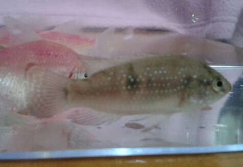 QQ截图20160802165246