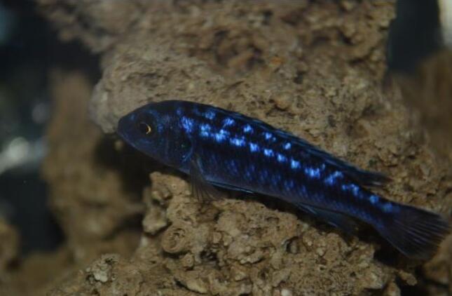 QQ截图20160802151049