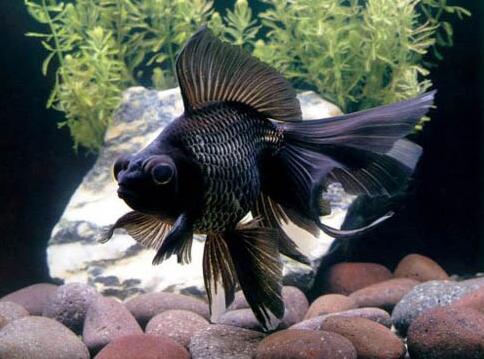 QQ截图20160802164116