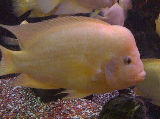 QQ截图20160802171611