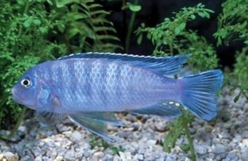 QQ截图20160802150756