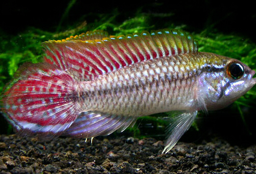 QQ截图20160802174224