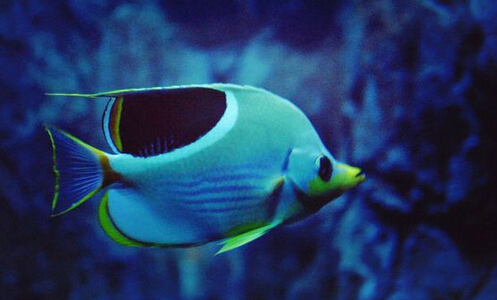 QQ截图20160802165645