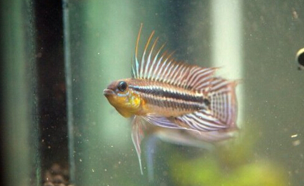 QQ截图20160802163102