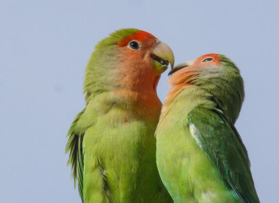 QQ截图20160802182355