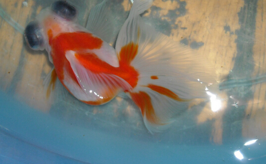 QQ截图20160802172056