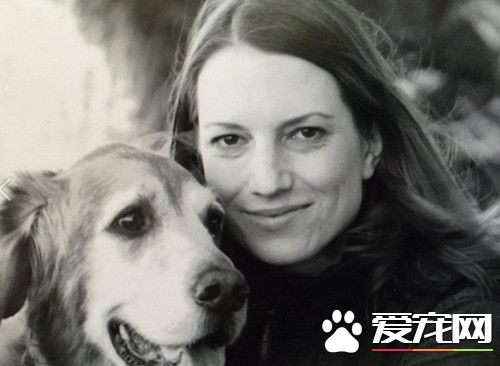 黄金猎犬帮助女作家摆脱抑郁症 活下去的唯一理由