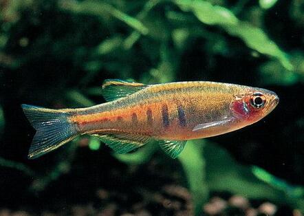 QQ截图20160802143841