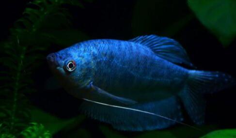 QQ截图20160802105253