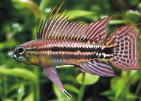 QQ截图20160802163052