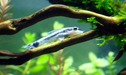 QQ截图20160802171755