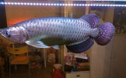 QQ截图20160802181839