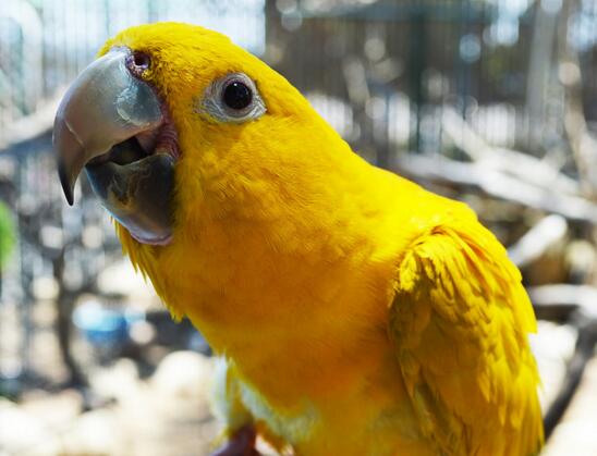 QQ截图20160802184050