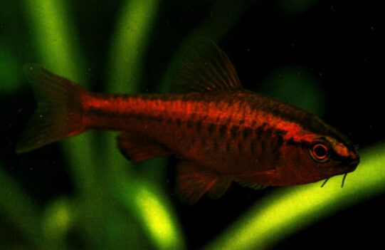 QQ截图20160802161532