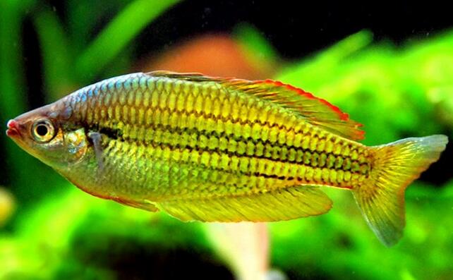 QQ截图20160802180449