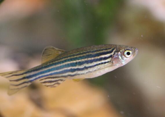 QQ截图20160802142013