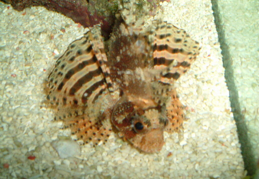 QQ截图20160802162024