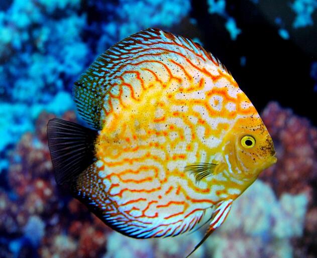 QQ截图20160802163539