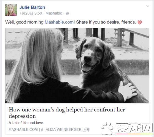 黄金猎犬帮助女作家摆脱抑郁症 活下去的唯一理由