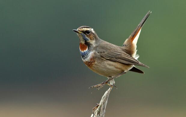 QQ截图20160802183235