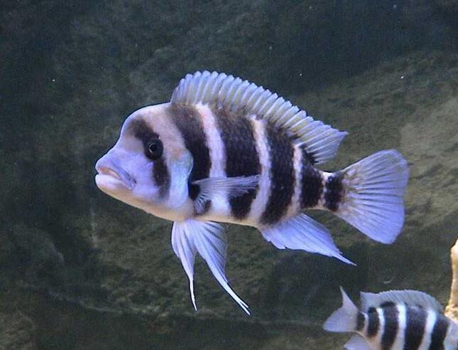 QQ截图20160802132354