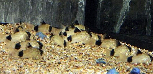 QQ截图20160802175128