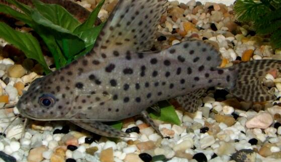 QQ截图20160802162343