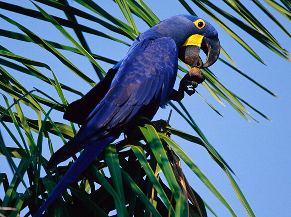 QQ截图20160802183252