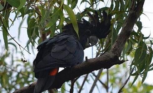 QQ截图20160802183717