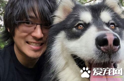 2.韩寒的爱犬马达