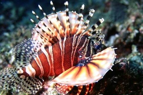 QQ截图20160802175558