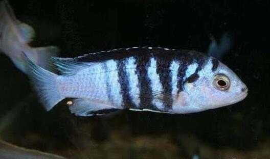 QQ截图20160802150841