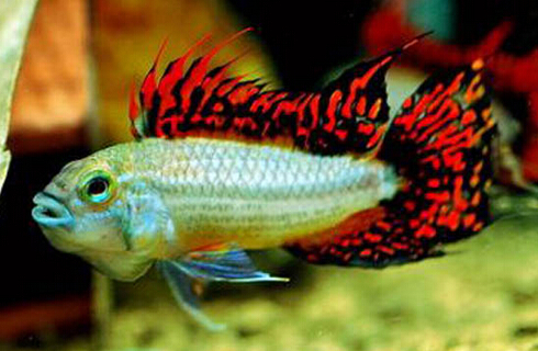 QQ截图20160802174221