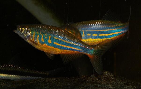 QQ截图20160802143859