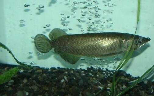 QQ截图20160802181825