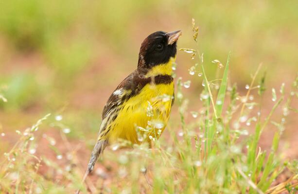 QQ截图20160802183151