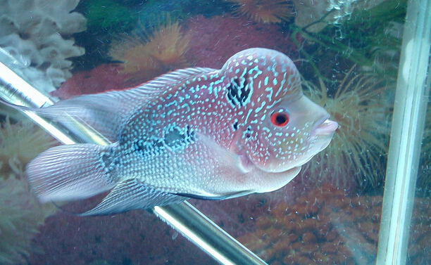 QQ截图20160802172107