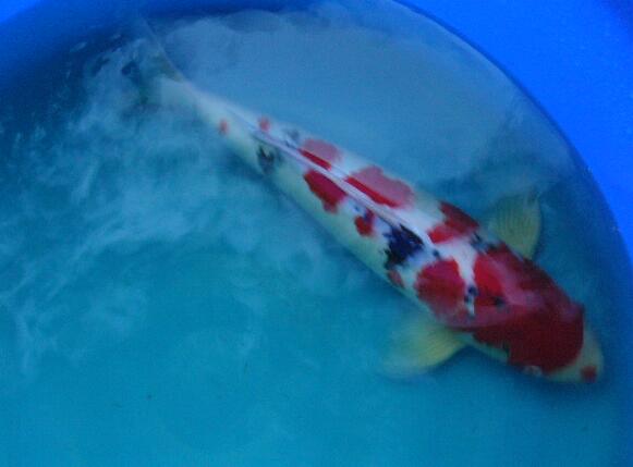 QQ截图20160802155125