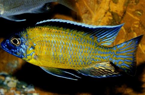 QQ截图20160802150820