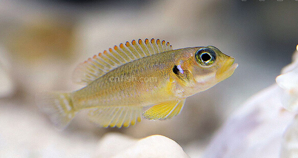 QQ截图20160802171729