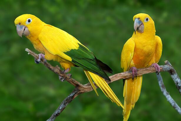 QQ截图20160802184056