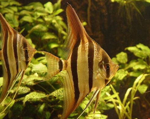 QQ截图20160802174617