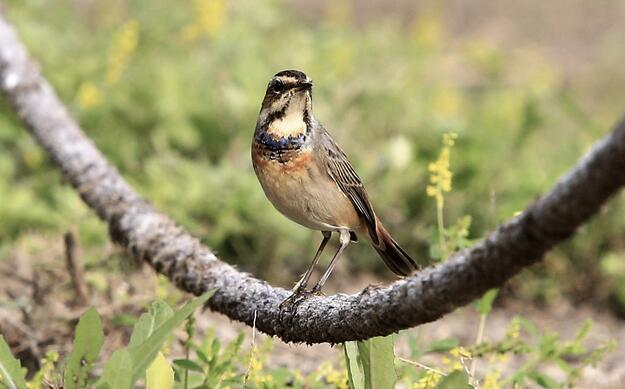 QQ截图20160802183238